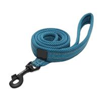 Soft Pet Leash - Reflective Nylon Mesh Padded Walking Training(Blue,S 1.5cmX200cm)