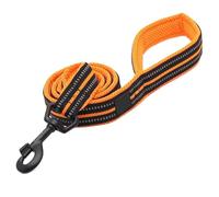 Soft Pet Leash - Reflective Nylon Mesh Padded Walking Training(Neon Yellow,M 2 cm x 200 cm)