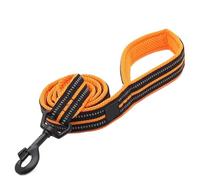 Soft Pet Leash - Reflective Nylon Mesh Padded Walking Training(Orange,L 2.5cmX200cm)