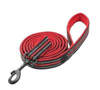 Soft Pet Leash - Reflective Nylon Mesh Padded Walking Training(Red, L 2,5 cm x 200 cm)