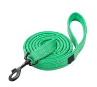 Soft Pet Leash - Reflective Nylon Mesh Padded Walking Training(Verde, M 2 cm x 200 cm)