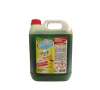 Soft Soft Platos concentrado de limón, detergente para platos a mano profesional, alto rendimiento, fabricado en Italia, sin fósforo, perfume de limón, 1 unidad de 5 l