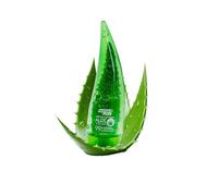 Softto+Plus Aloe Vera Soothing Gel Calmante e Hidratante Gel