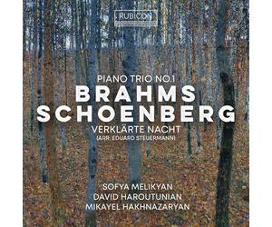 Sofya Melikyan, David Haroutunian, Mikayel Hakhnaz - Brahms: Piano Trio No. 1 - Schoenberg: Verklärte N