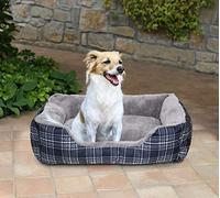 Sogni e capricci C-WILLY-62x50x17cm cama para mascotas, Willy, 62x50x17cm