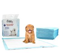 Sogni e Capricci Pets Alfombrilla Absorbente Pets, Neutro, 1 Caja (80 Unidades)