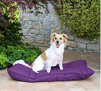 Sogni e Capricci Pets Paquete Nº 2 Maxy - Almohadillas para Perros, Violeta, 60 x 100 cm