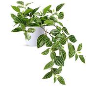 SOGUYI Plantas Artificiales Decorativas 38cm Decoración de Plantas Artificiales de Plástico Muy Realista, Adecuada para la Decoración Moderna de la Oficina de la Sala de Estar del Hogar(1 Piezas)