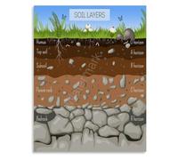 Soil Horizons Chart Geology Educational Poster Wall Art Living Room Kids Room Decor