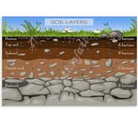Soil Layers of the Earth Diagram Educational Science Poster Geography Classroom Wall Art for Home School or Office Decor(Framed,08x12inch(20x30cm))