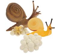 SOIMISS de Caracol Simulado Educativo Kit de Ciclo de Crecimiento Juguetes Caracoles para Detalles Realistas para Aprendizaje Biológico y Desarrollo Cognitivo