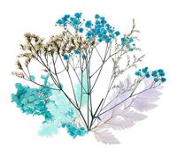 SOIMISS Flores Secas Naturales para Manualidades DIY Material de Flores Prensadas para Decoración de Hogar 1 Juego de Secas para Bricolaje San Valentín Accesorios Creativos