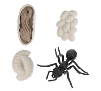 SOIMISS Modelo de Evolución Hormigas Obreras Educativo de Simulación Ciclo de Crecimiento Realista para Educación Temprana de Figuras Detalladas