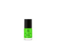Soivre Cosmetics Nail Colors Punk 6ml