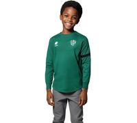 Soka - Sudadera Sociedad Deportiva Huesca Pre-Match 2024-2025 Niño, Unisex, Forest Green, 128 cm