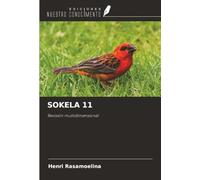 SOKELA 11: Revisión multidimensional