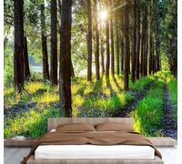 Sol Bosque Papel Pintado 300 x 256 cm 3D Árbole Mural de pared Fotomurales Tejido No Tejido Fuera De La Ventana Papel Tapiz Grande Murales Fotográfico Moderno Decoración de Paredes W-1192