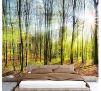 Sol Bosque Papel Pintado 350 x 256 cm 3D Árbole Mural de pared Fotomurales Tejido No Tejido Fuera De La Ventana Papel Tapiz Grande Murales Fotográfico Moderno Decoración de Paredes W-419