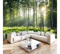 Sol Bosque Papel Pintado 500 x 280 cm 3D Árbole Mural de pared Fotomurales Tejido No Tejido Fuera De La Ventana Papel Tapiz Grande Murales Fotográfico Moderno Decoración de Paredes W-1214