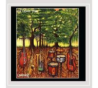 Sol Driven Train - Underdog