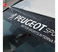 SoLaka Calcomanía Parabrisas Delantero y Trasero de Coche Pegatina Decorativa para Peugeot 206 307 308 3008 207 208 407 508 2008 5008 107 106 205 4008 301