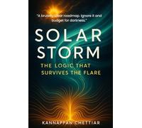 Solar Storm: The Logic That Survives the Flare