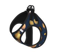 Solar System Planets Print - Juego de arnés y correa suave para mascotas, arnés de malla ajustable para cachorros y gatos pequeños, medianos y grandes