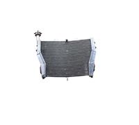 Soldadura de radiadores de Aluminio para refrigeración para BMW S1000RR 2009 2010 2011 2012 2013 2014 2015 2016 2017 2018