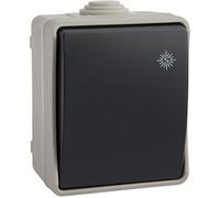 SOLERA 3303 - Conmutador/Interruptor estanco de Superficie, IP54, Color Gris