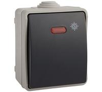 Pulsador estanco luminoso 10A 250V IP54 de 65x80x55mm Solera 3320IL