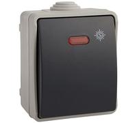 Solera 3320IL - Pulsador luminoso 10A 250V~. Certificado VDE.