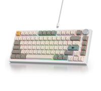 SOLIDEE Teclado Intercambiable en Caliente 75%,Retroiluminación RGB,Teclado mecánico Gasket,Teclado mecánico para Juegos de 82 Teclas TKL,Teclado Compacto NKRO con Perilla de Volumen(82 Gray Beige)