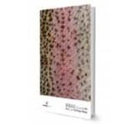 sollo: la cocina del rio = river cuisine (ed. bilingüe español - ingle