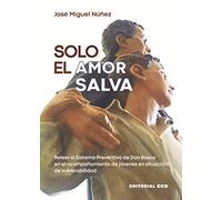 Solo el amor salva: Releer el Sistema Preventivo de Don Bosco en el acompañamiento de jóvenes en situación de vulnerabilidad: 89