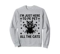 Solo estoy aquí para acariciar a todos los gatos, amantes de los gatos, felinos, maullidos Sudadera