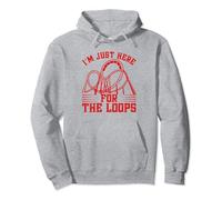 Sólo estoy aquí por los bucles Montaña rusa Sudadera con Capucha
