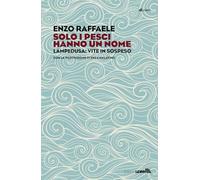 Solo i pesci hanno un nome. Enza Malatino, cuore e cure a Lampedusa (Le stanze)