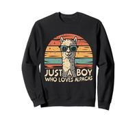 Solo un Chico Que ama Las Alpacas Sudadera