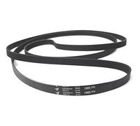 SoloCorreas Hutchinson - Correa de Secadora 1985 PH