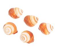 SOLUSTRE Conchas De Caracol Naturales para Hornear 4-5 Cm, Aislamiento Térmico Resistente, Superficie Lisa Segura, Conjunto De 5 Piezas, Ideales para Restaurante y Cocina Francesa