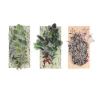 SOLUSTRE Pegatinas DIY de Plantas y Hojas para Scrapbooking, 120 Unidades, Diseño Vintage, Papel Autoadhesivo para Decoración de Cuadernos, Álbumes y Manualidades Estilo Estilo Aleatorio