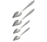 SOLUSTRE Set de 4 Cucharas para Alimentación Manual de Loros y Pájaros, Acero Inoxidable, Tamaños Variados, Aptas para Leche en Polvo y Alimentación de Aves en Casa