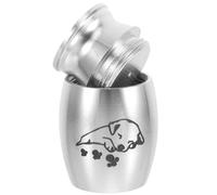 SOLUSTRE Urna Pequeña para Mascotas de Aleación Tapa Sellada, Urna para Cenizas de Perros y Gatos, Contenedor Cinerario Portátil para Recuerdo en Cementerio de Animales, Color Plateado