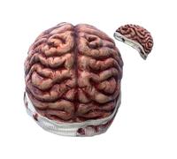 Sombrero De Cerebro | Sombrero De Disfraz, Accesorio De Traje 3D Realista, Regalos De De Cosplay De Terror Para Hombres, Mujeres, Adultos, Cumpleaños, Casa Embrujada, Espectáculo De Comedia