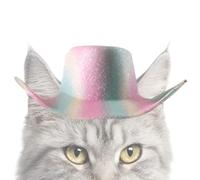 Sombrero De para Perros - Accesorios Ajustables para Mascotas De Halloween,Sombrero De para Disfraz De Halloween para Perros Grandes,para Cosplay Celebración Fotografía Festival Vacaciones Navidad