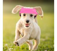Sombrero de perro - Sombrero de playa para perros - Gorra para perro, capucha ajustable transpirable con agujeros para las orejas para perros pequeños y medianos, diseño ligero, ideal para senderismo