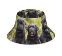 Sombrero de sol para perro Labrador Retriever con ala ancha, fácil de llevar, transpirable y ligero, plegable y portátil