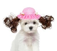 Sombrero para Perro - Disfraz Lindo y con Peluca rizada - Sombreros para Perros con temática Animal de compañía, cumpleaños, Navidad, Halloween, Invierno, Sol