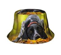 Sombrero Tipo Cubo para Perros de Raza Braco Alemán de Pelo Corto, Ideal para otoño, para Mujer y Hombre. Sombreros de Verano para Hombre y Mujer.
