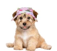 Sombreros de en para perro gato | Sombrero de verano para mascotas Protección solar al aire libre Sombrero para mascotas con visera para perro con borde | Gorra de po